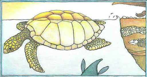 maiasaura-15.jpg